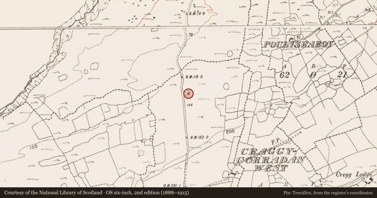 Ordnance Survey six-inch map, 2nd edition (1888–1915) covering the location of Ringfort - cashel, Cahermacrusheen, County Clare, with a pin at the register's coordinates