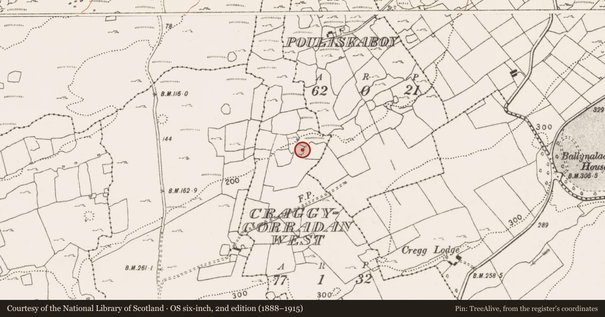 Ordnance Survey six-inch map, 2nd edition (1888–1915) covering the location of Ringfort - cashel, Craggycorradan West, County Clare, with a pin at the register's coordinates