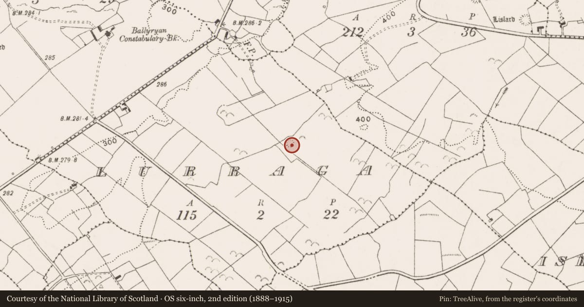Ordnance Survey six-inch map, 2nd edition (1888–1915) covering the location of Ringfort - rath, Lurraga, County Clare, with a pin at the register's coordinates