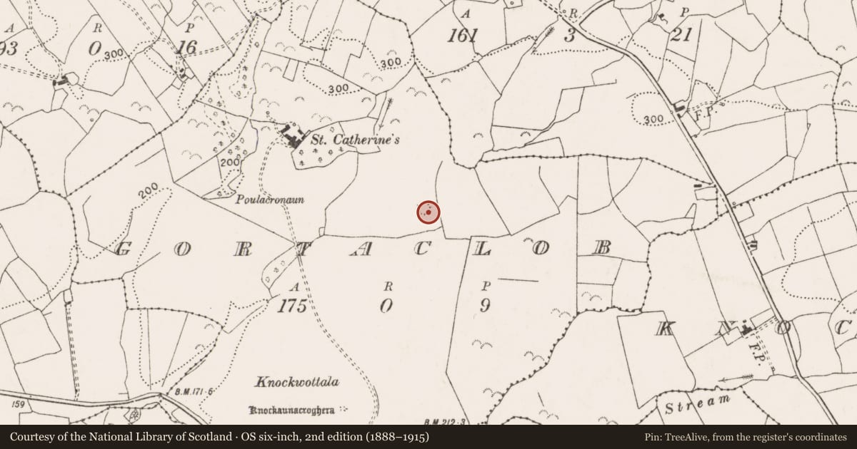 Ordnance Survey six-inch map, 2nd edition (1888–1915) covering the location of Ringfort - rath, Gortaclob, County Clare, with a pin at the register's coordinates