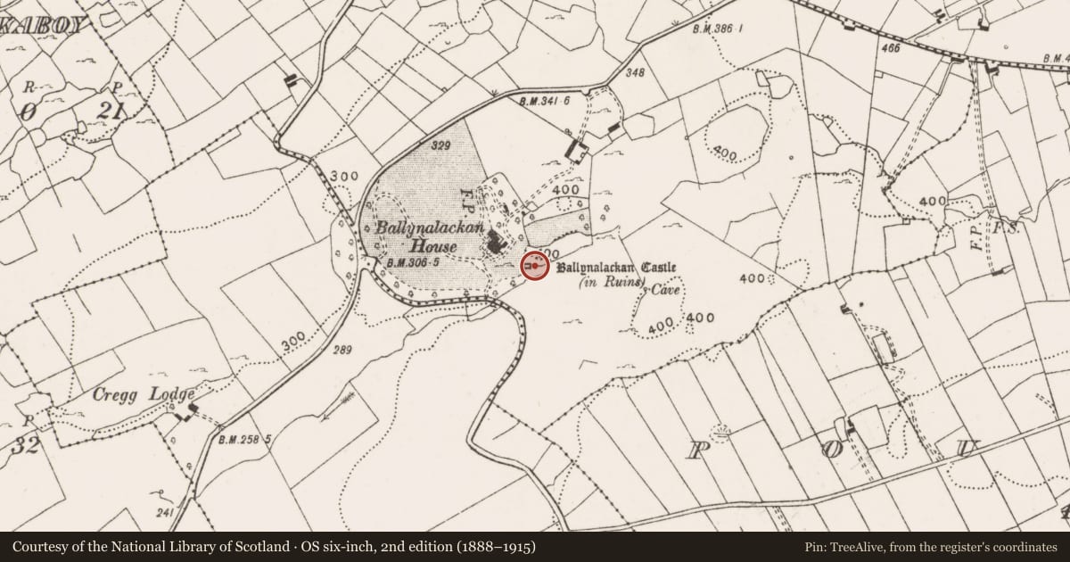 Ordnance Survey six-inch map, 2nd edition (1888–1915) covering the location of Castle - tower house, Ballynalackan, County Clare, with a pin at the register's coordinates