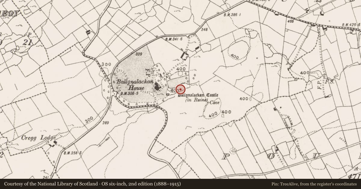 Ordnance Survey six-inch map, 2nd edition (1888–1915) covering the location of Bawn, Ballynalackan, County Clare, with a pin at the register's coordinates