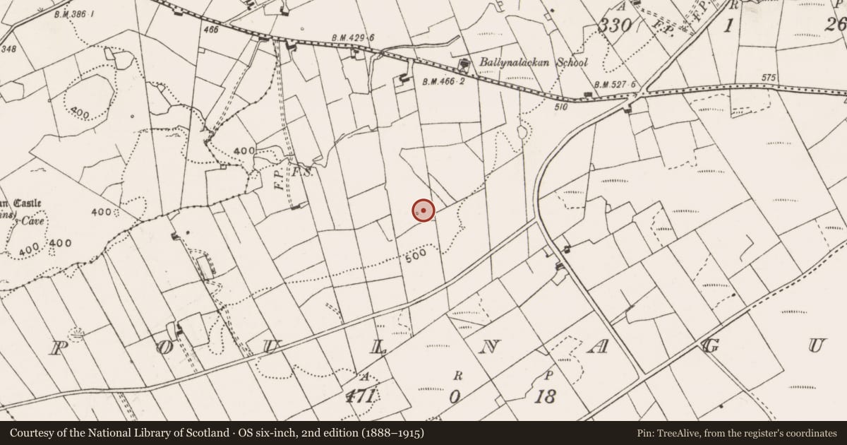 Ordnance Survey six-inch map, 2nd edition (1888–1915) covering the location of Quarry, Poulnagun, County Clare, with a pin at the register's coordinates
