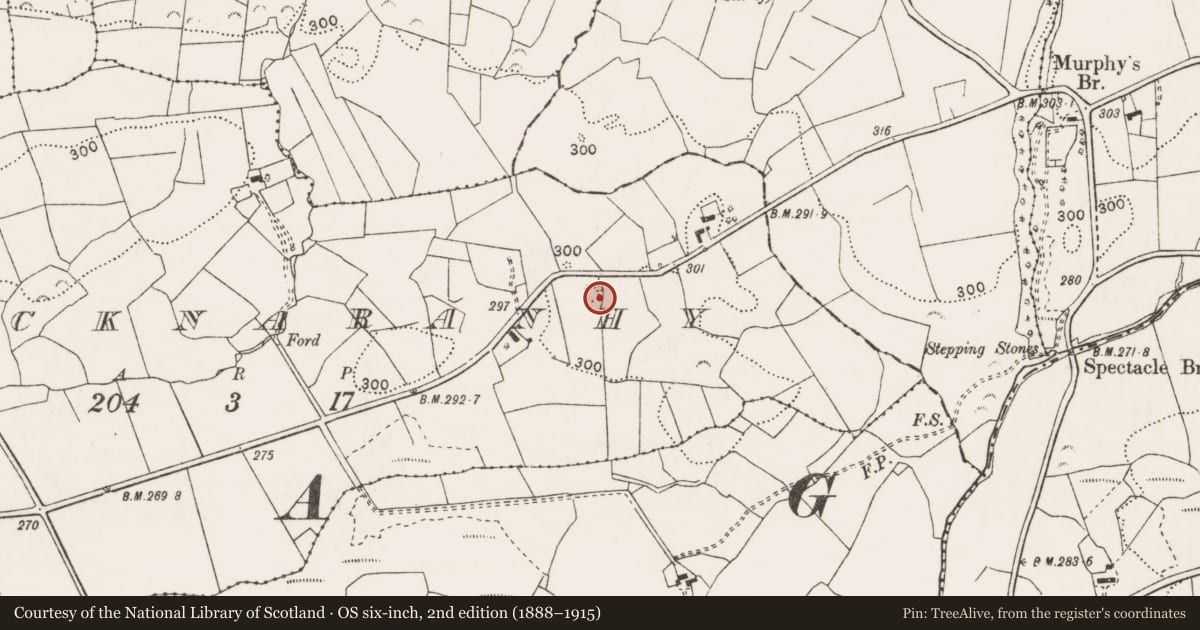Ordnance Survey six-inch map, 2nd edition (1888–1915) covering the location of Barrow - ring-barrow, Knocknaranhy, County Clare, with a pin at the register's coordinates