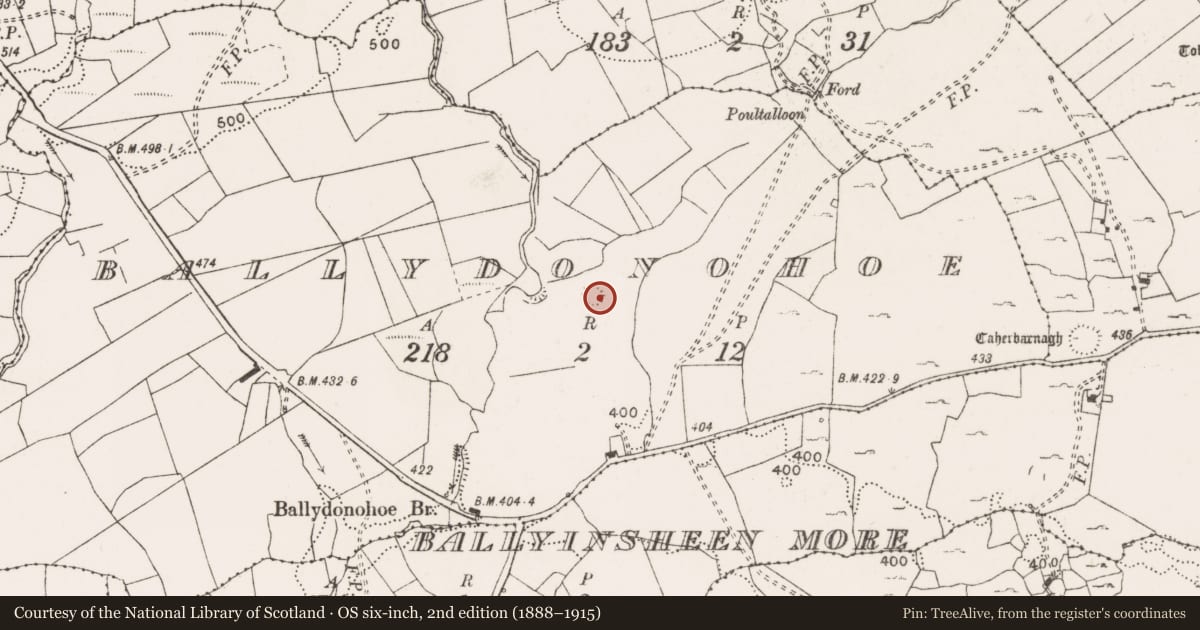 Ordnance Survey six-inch map, 2nd edition (1888–1915) covering the location of Enclosure, Ballydonohoe, County Clare, with a pin at the register's coordinates