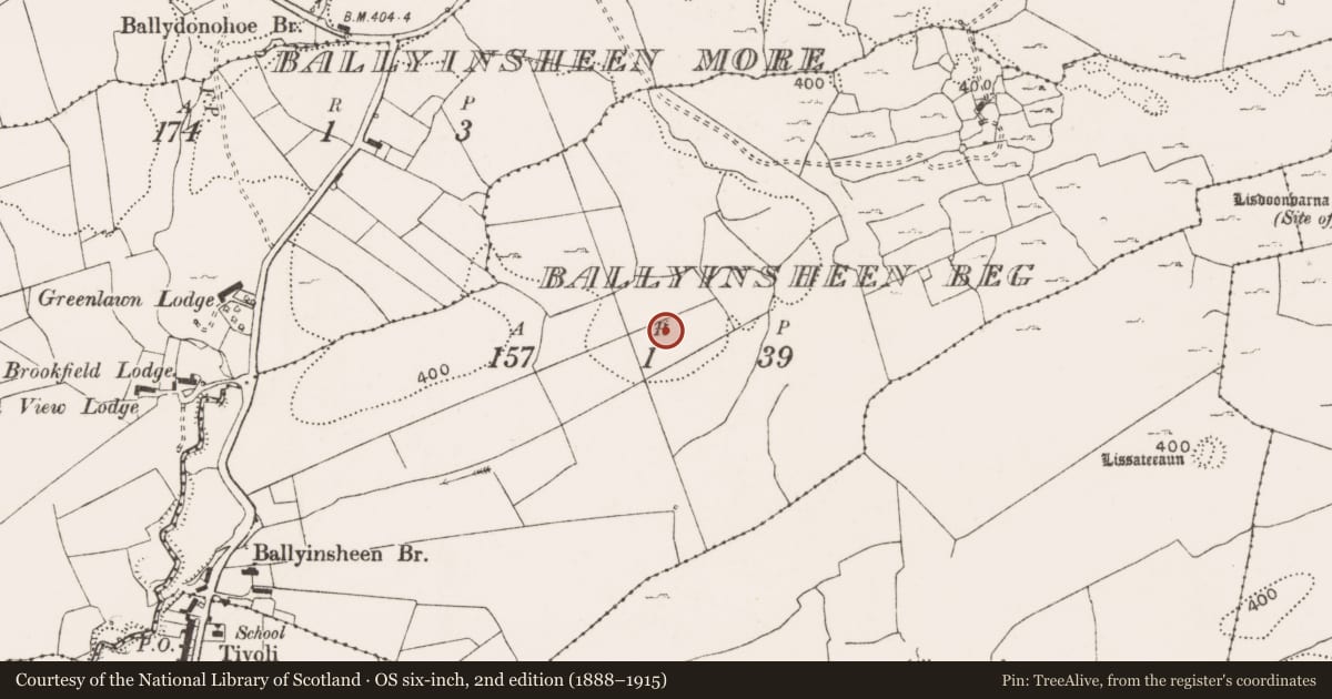 Ordnance Survey six-inch map, 2nd edition (1888–1915) covering the location of Enclosure, Ballyinsheen Beg, County Clare, with a pin at the register's coordinates