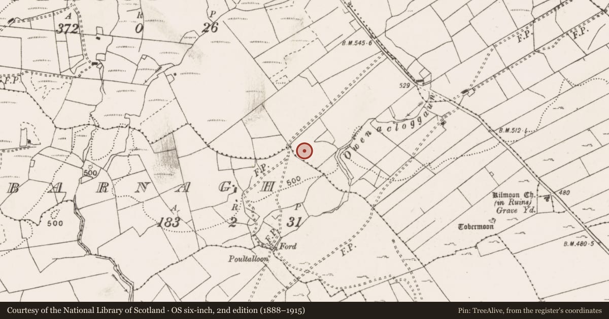 Ordnance Survey six-inch map, 2nd edition (1888–1915) covering the location of Ringfort - rath, Kilmoon West, County Clare, with a pin at the register's coordinates