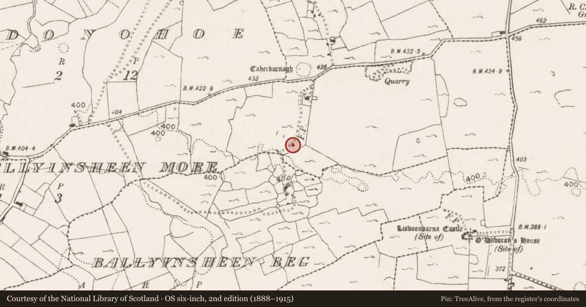 Ordnance Survey six-inch map, 2nd edition (1888–1915) covering the location of Enclosure, Ballyinsheen More, County Clare, with a pin at the register's coordinates
