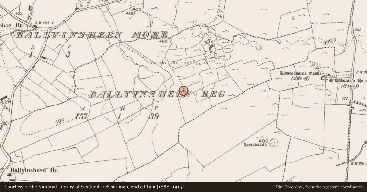 Ordnance Survey six-inch map, 2nd edition (1888–1915) covering the location of Ringfort - rath, Ballyinsheen Beg, County Clare, with a pin at the register's coordinates