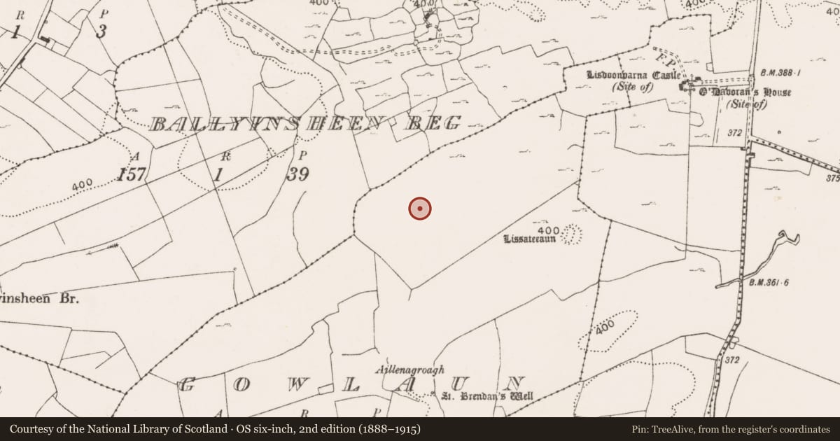 Ordnance Survey six-inch map, 2nd edition (1888–1915) covering the location of Ringfort - rath, Gowlaun, County Clare, with a pin at the register's coordinates