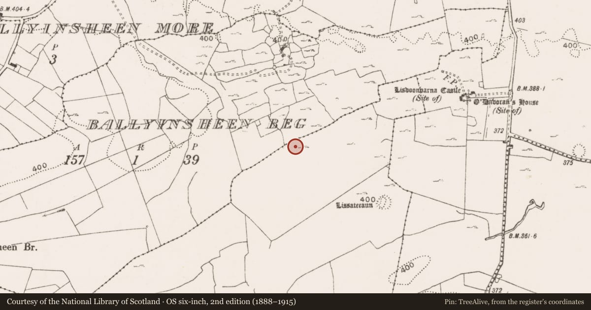 Ordnance Survey six-inch map, 2nd edition (1888–1915) covering the location of Enclosure, Gowlaun, County Clare, with a pin at the register's coordinates