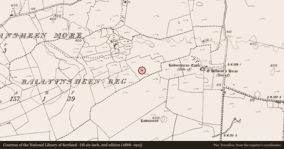 Ordnance Survey six-inch map, 2nd edition (1888–1915) covering the location of Sheepfold, Ballyinsheen Beg, County Clare, with a pin at the register's coordinates