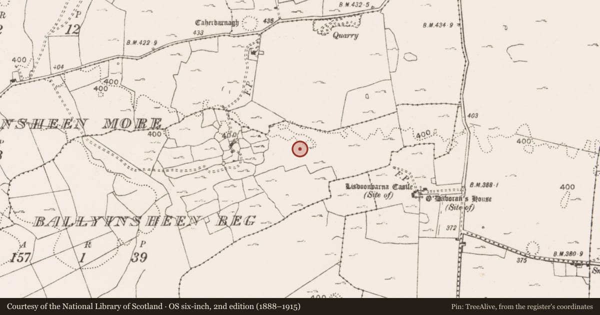 Ordnance Survey six-inch map, 2nd edition (1888–1915) covering the location of Hut site, Ballyinsheen Beg, County Clare, with a pin at the register's coordinates