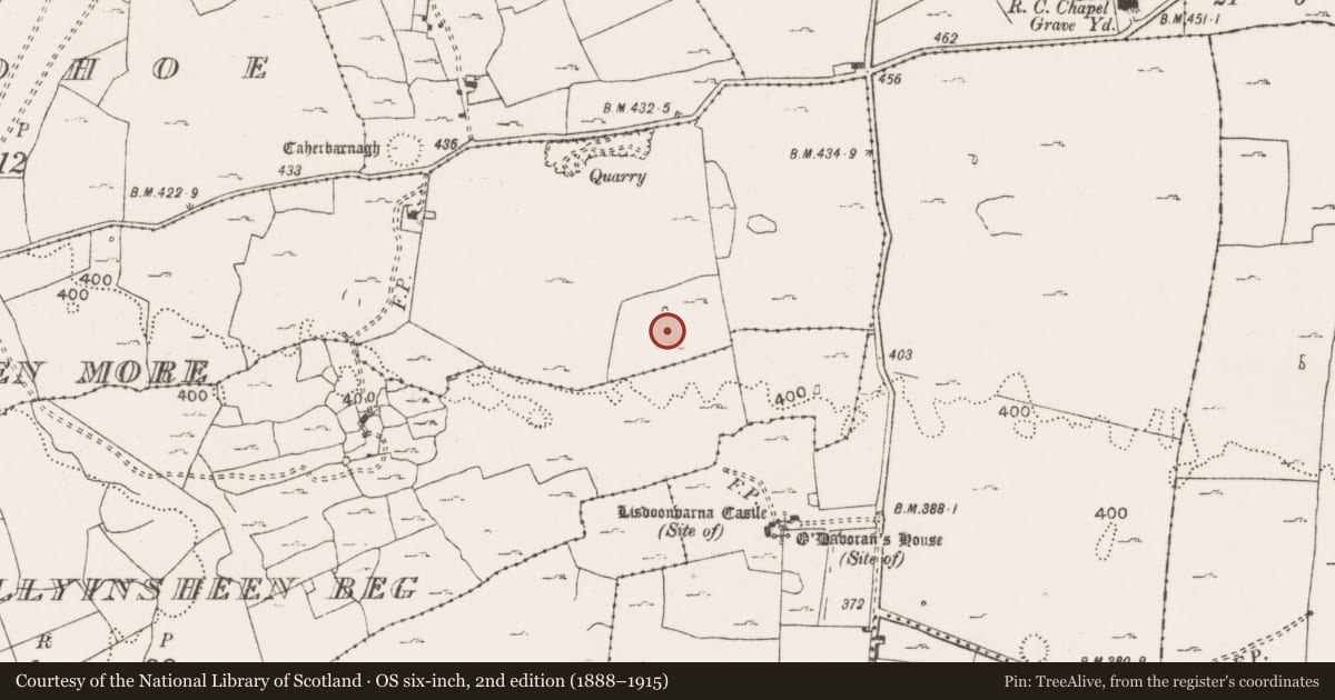 Ordnance Survey six-inch map, 2nd edition (1888–1915) covering the location of Ringfort - cashel, Ballyinsheen More, County Clare, with a pin at the register's coordinates