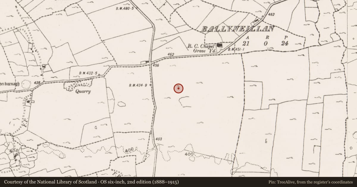 Ordnance Survey six-inch map, 2nd edition (1888–1915) covering the location of Enclosure, Lisdoonvarna, County Clare, with a pin at the register's coordinates