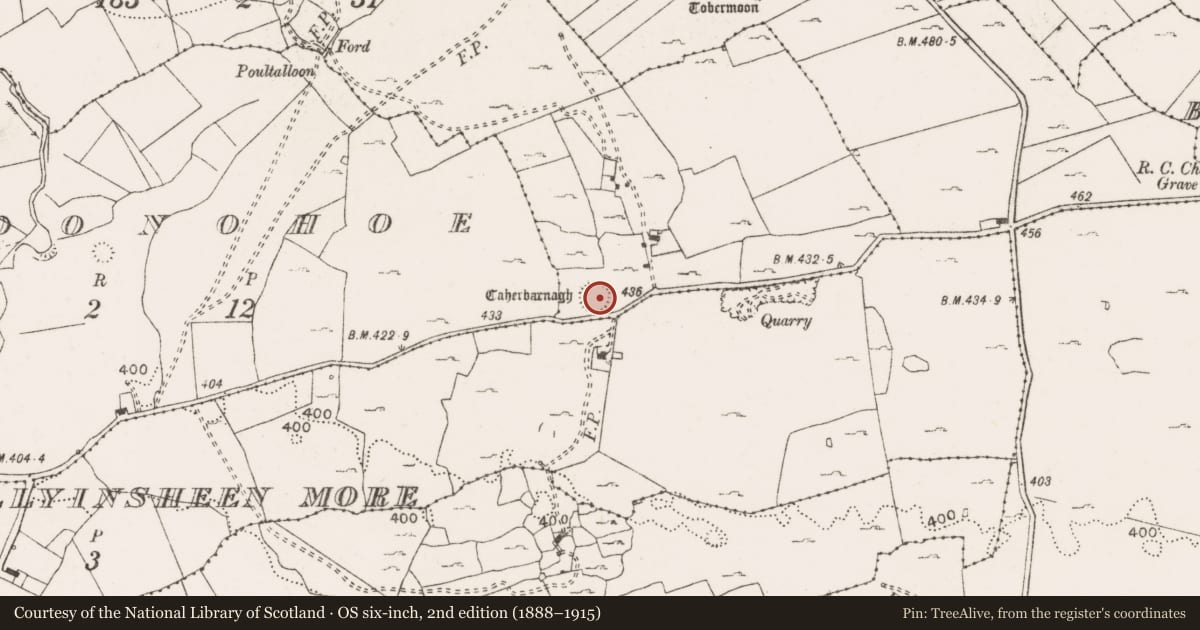 Ordnance Survey six-inch map, 2nd edition (1888–1915) covering the location of Ringfort - cashel, Caherbarnagh, County Clare, with a pin at the register's coordinates