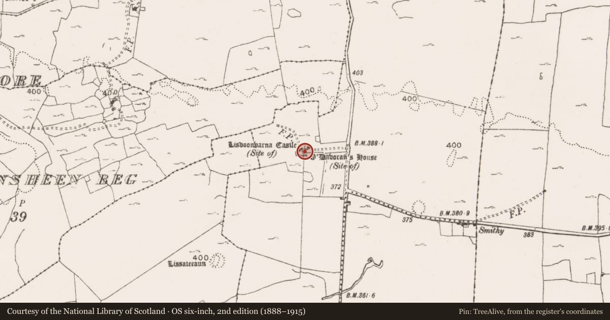 Ordnance Survey six-inch map, 2nd edition (1888–1915) covering the location of Castle - tower house, Lisdoonvarna, County Clare, with a pin at the register's coordinates