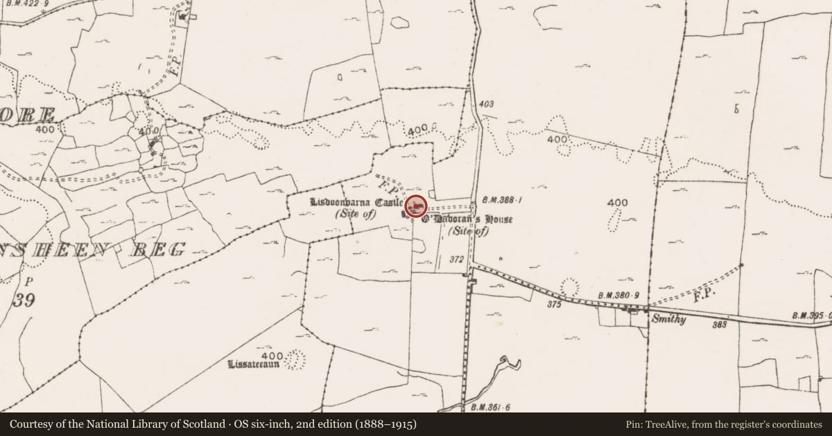 Ordnance Survey six-inch map, 2nd edition (1888–1915) covering the location of Inscribed stone, Lisdoonvarna, County Clare, with a pin at the register's coordinates
