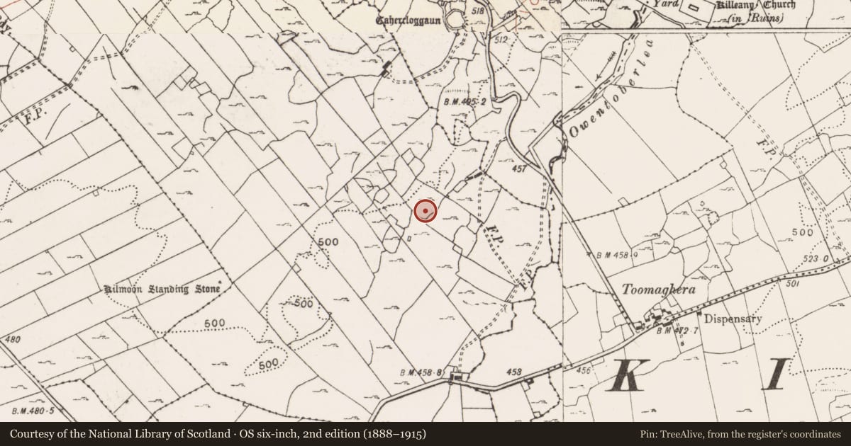 Ordnance Survey six-inch map, 2nd edition (1888–1915) covering the location of Field system, Ballyhenna, Cahercloggaun, County Clare, with a pin at the register's coordinates