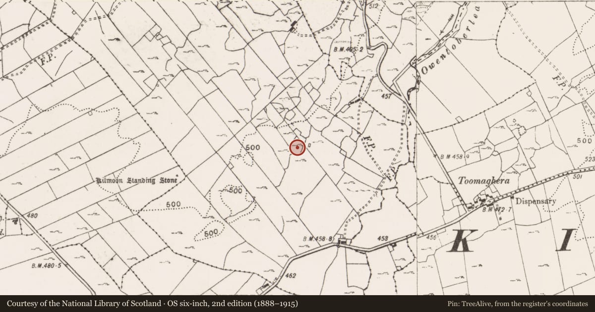 Ordnance Survey six-inch map, 2nd edition (1888–1915) covering the location of Ringfort - cashel, Ballyhenna, County Clare, with a pin at the register's coordinates
