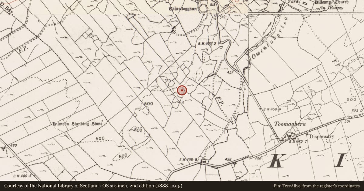 Ordnance Survey six-inch map, 2nd edition (1888–1915) covering the location of Hut site, Ballyhenna, County Clare, with a pin at the register's coordinates