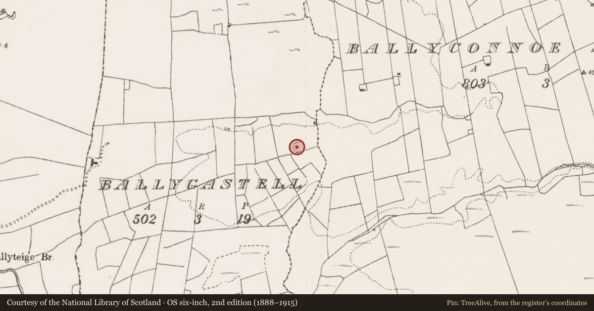 Ordnance Survey six-inch map, 2nd edition (1888–1915) covering the location of Ringfort - rath, Ballygastell, County Clare, with a pin at the register's coordinates