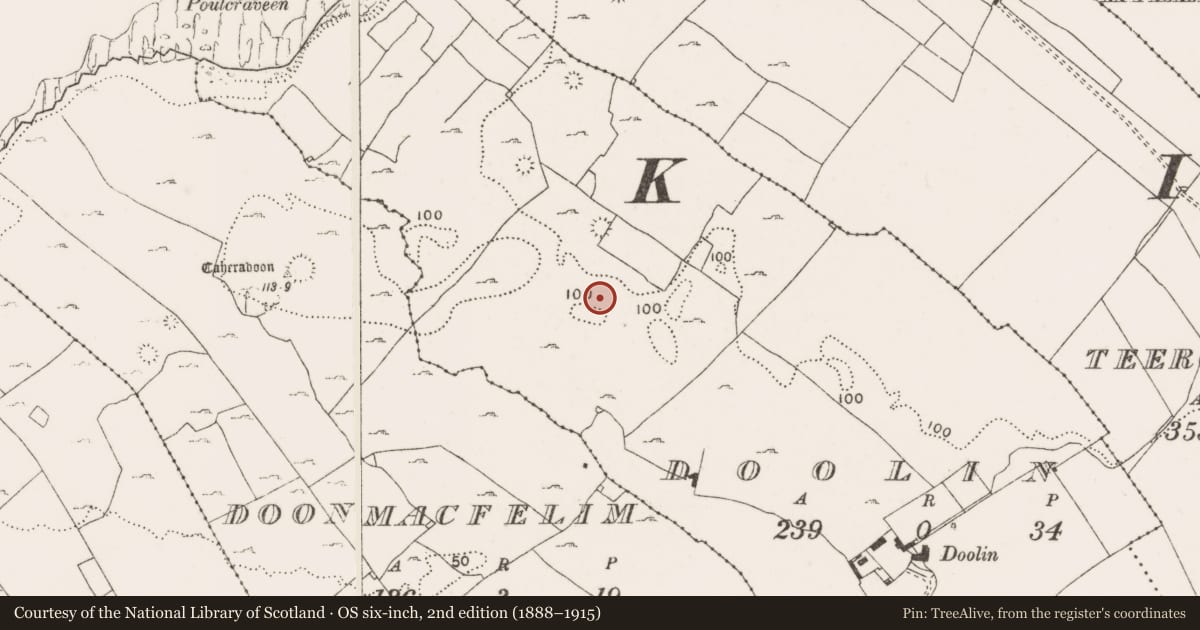 Ordnance Survey six-inch map, 2nd edition (1888–1915) covering the location of Field system, County Clare, with a pin at the register's coordinates