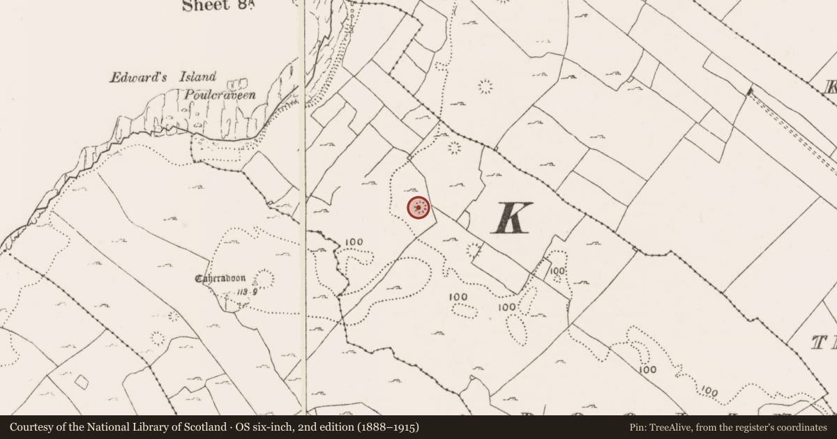 Ordnance Survey six-inch map, 2nd edition (1888–1915) covering the location of Ringfort - cashel, Doolin, County Clare, with a pin at the register's coordinates