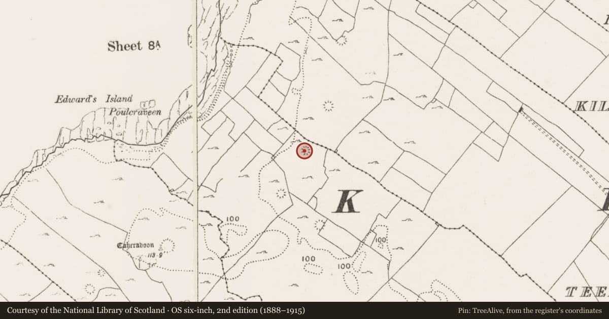 Ordnance Survey six-inch map, 2nd edition (1888–1915) covering the location of Platform, Doolin, County Clare, with a pin at the register's coordinates