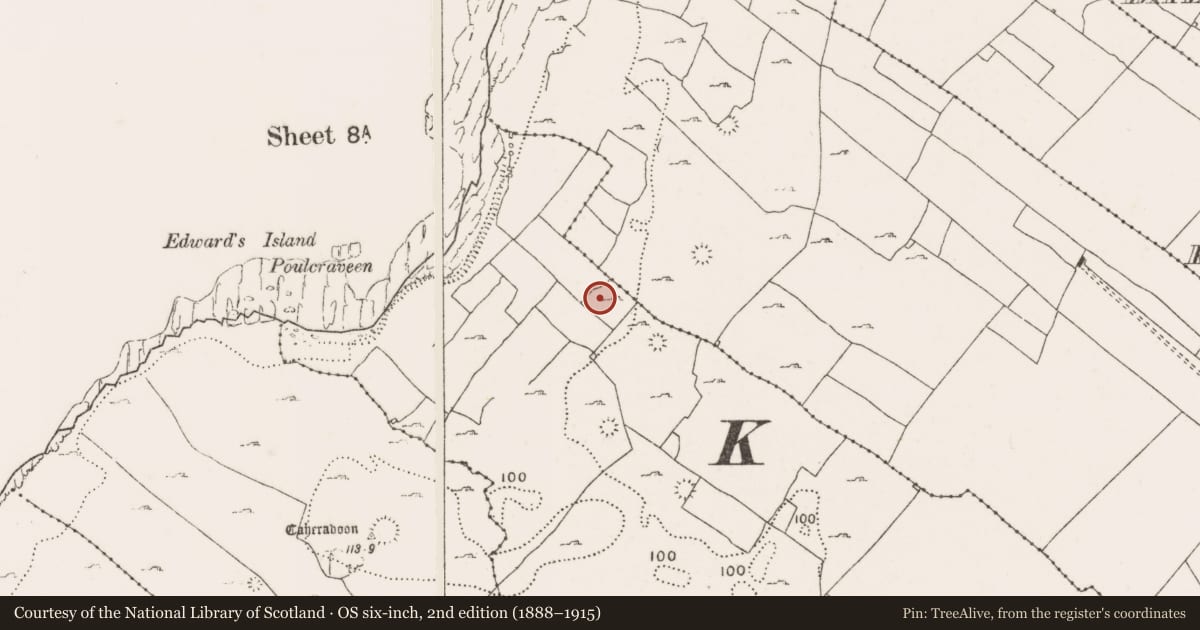 Ordnance Survey six-inch map, 2nd edition (1888–1915) covering the location of Enclosure, Doolin, County Clare, with a pin at the register's coordinates