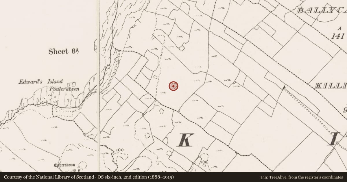 Ordnance Survey six-inch map, 2nd edition (1888–1915) covering the location of Enclosure, Teergonean, County Clare, with a pin at the register's coordinates