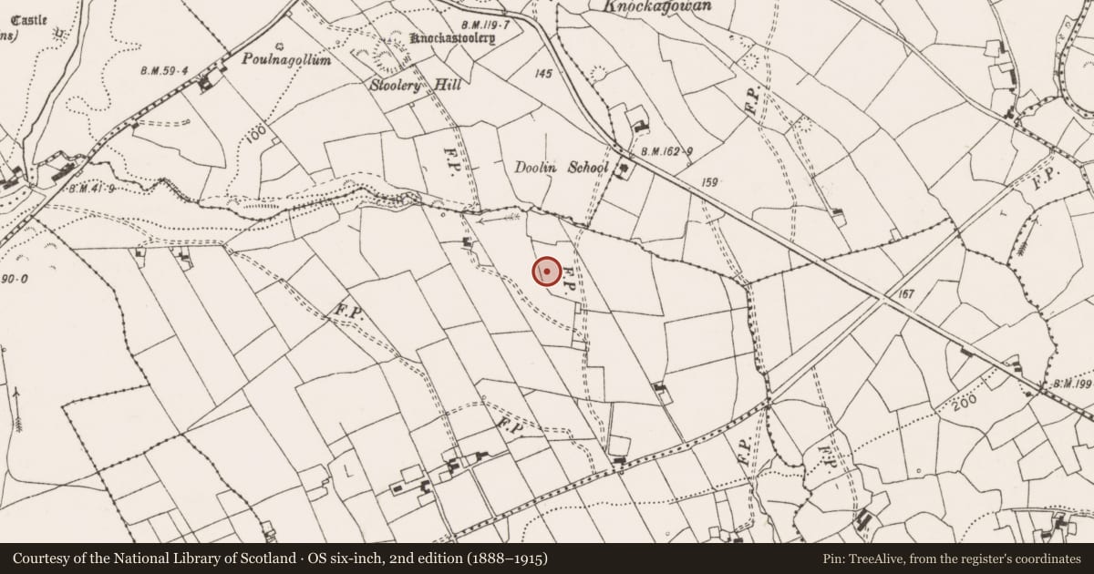 Ordnance Survey six-inch map, 2nd edition (1888–1915) covering the location of Barrow - ring-barrow, Ballyvara, County Clare, with a pin at the register's coordinates