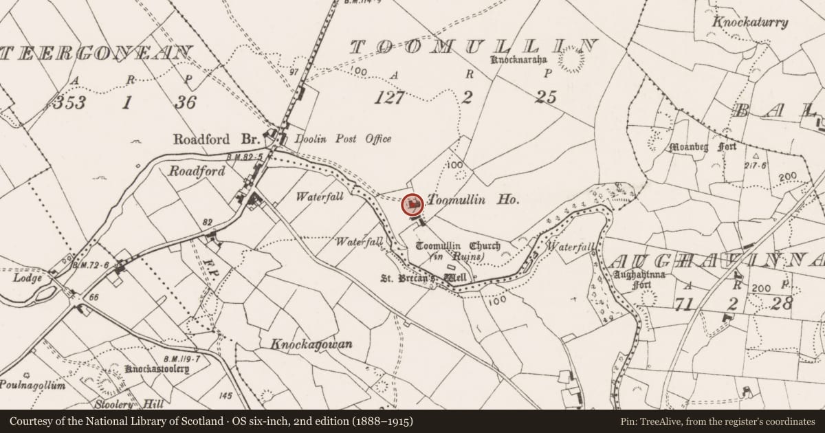 Ordnance Survey six-inch map, 2nd edition (1888–1915) covering the location of Castle - unclassified, Toomullin, County Clare, with a pin at the register's coordinates