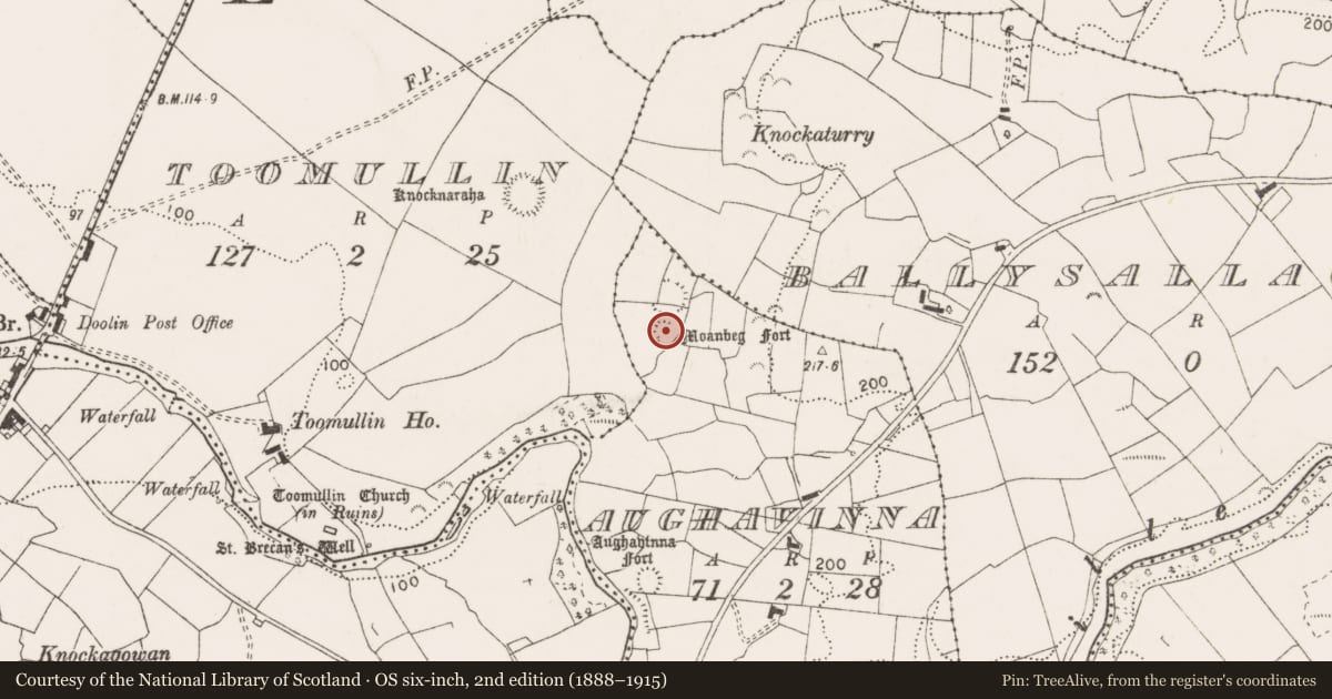 Ordnance Survey six-inch map, 2nd edition (1888–1915) covering the location of Ringfort - rath, Aughavinna, County Clare, with a pin at the register's coordinates