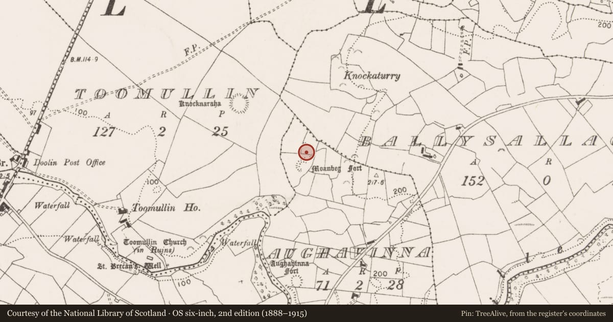 Ordnance Survey six-inch map, 2nd edition (1888–1915) covering the location of Ringfort - rath, Aughavinna, County Clare, with a pin at the register's coordinates