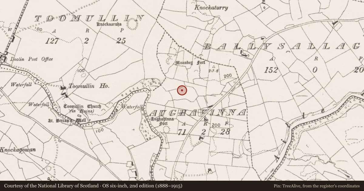 Ordnance Survey six-inch map, 2nd edition (1888–1915) covering the location of Enclosure, Aughavinna, County Clare, with a pin at the register's coordinates