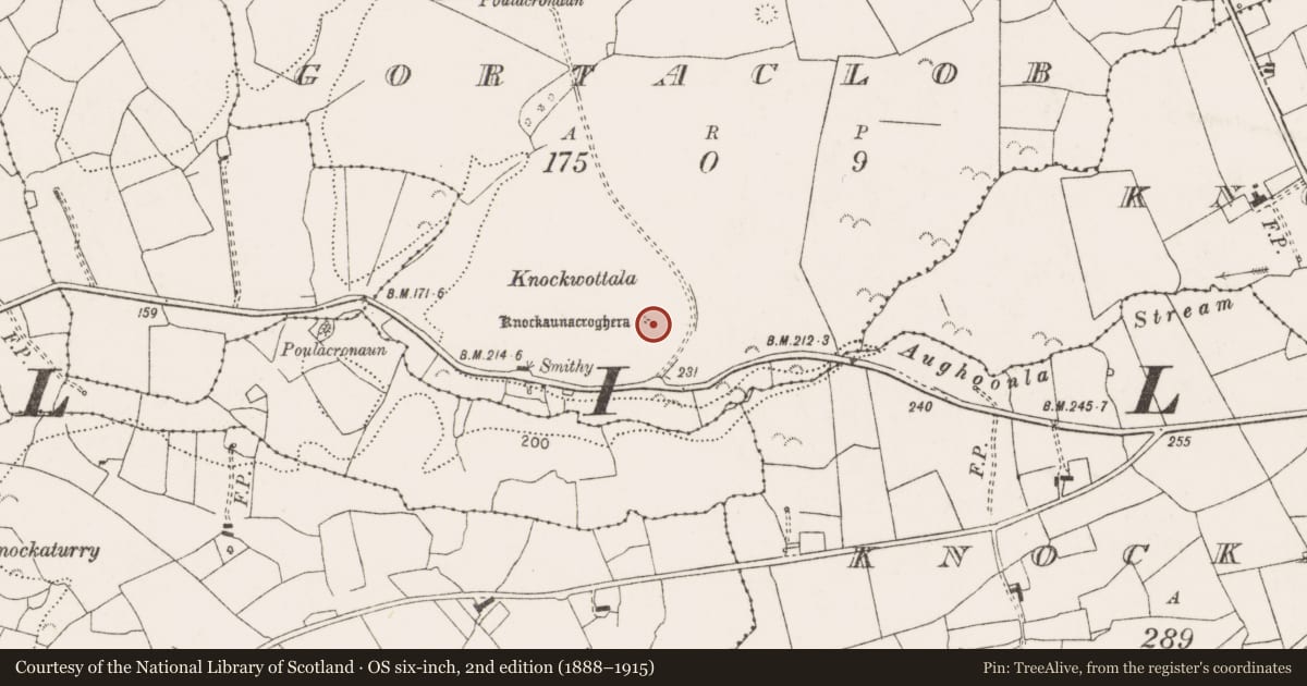 Ordnance Survey six-inch map, 2nd edition (1888–1915) covering the location of Barrow - unclassified, Gortaclob, County Clare, with a pin at the register's coordinates