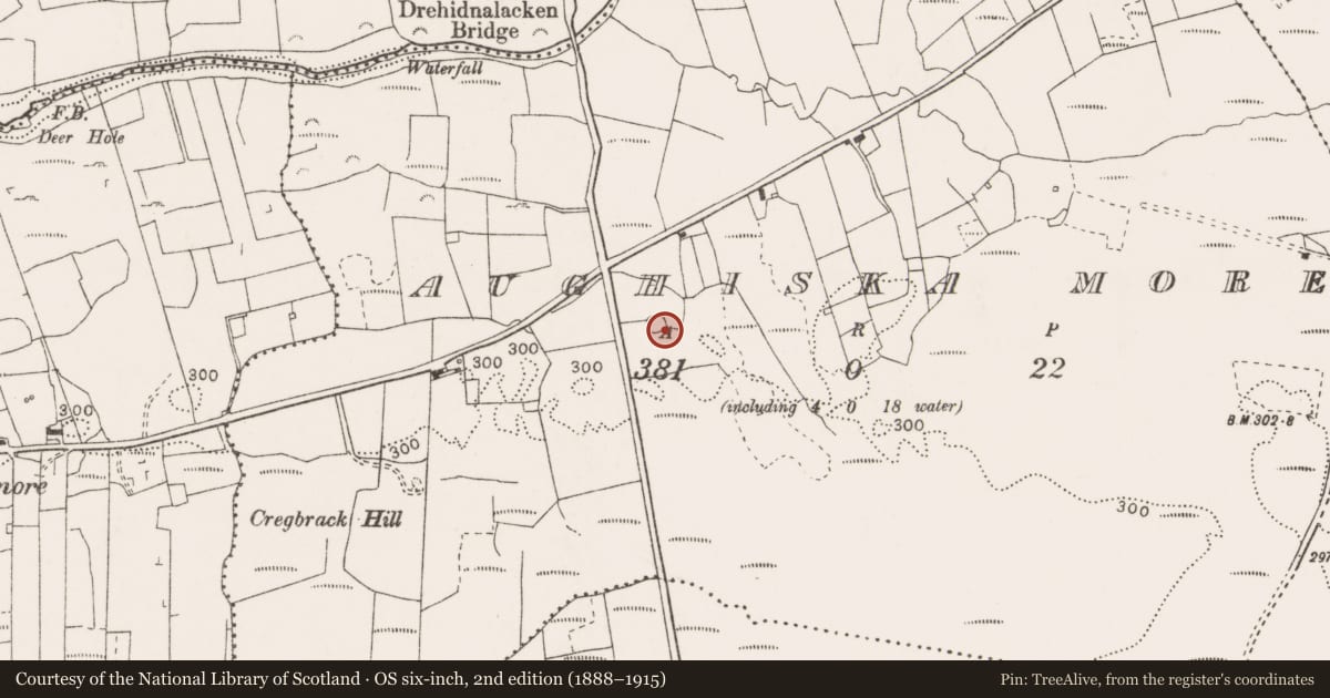 Ordnance Survey six-inch map, 2nd edition (1888–1915) covering the location of Ringfort - rath, Aughiska More, County Clare, with a pin at the register's coordinates
