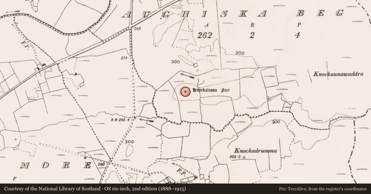 Ordnance Survey six-inch map, 2nd edition (1888–1915) covering the location of Ringfort - rath, Aughiska Beg, County Clare, with a pin at the register's coordinates