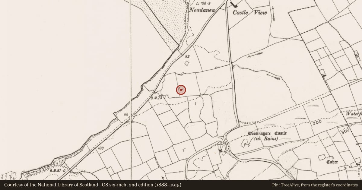 Ordnance Survey six-inch map, 2nd edition (1888–1915) covering the location of Barrow - ring-barrow, Doonnagore, County Clare, with a pin at the register's coordinates