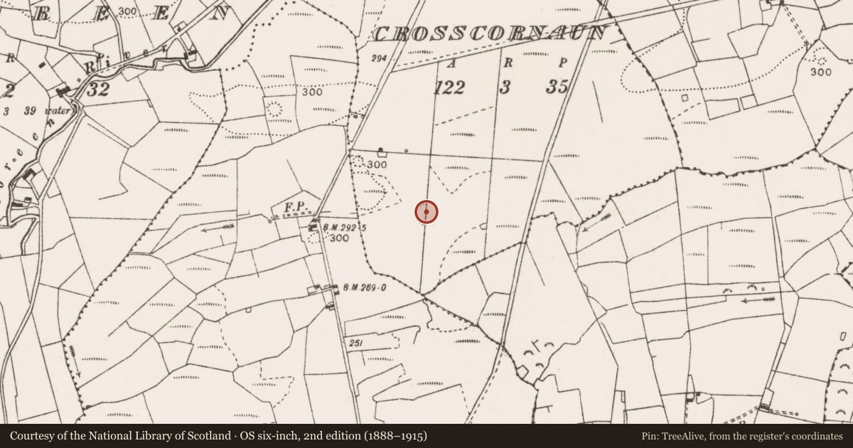 Ordnance Survey six-inch map, 2nd edition (1888–1915) covering the location of Ringfort - rath, Crosscornaun, County Clare, with a pin at the register's coordinates
