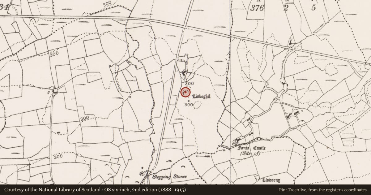 Ordnance Survey six-inch map, 2nd edition (1888–1915) covering the location of Ringfort - rath, Boghil, County Clare, with a pin at the register's coordinates