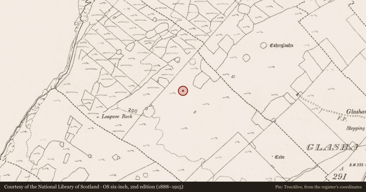 Ordnance Survey six-inch map, 2nd edition (1888–1915) covering the location of Field system, County Clare, with a pin at the register's coordinates