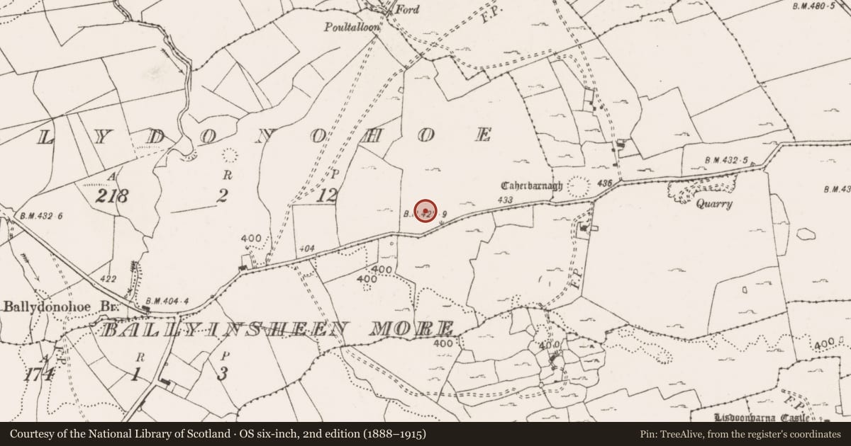 Ordnance Survey six-inch map, 2nd edition (1888–1915) covering the location of Fulacht fia, Ballydonohoe, County Clare, with a pin at the register's coordinates