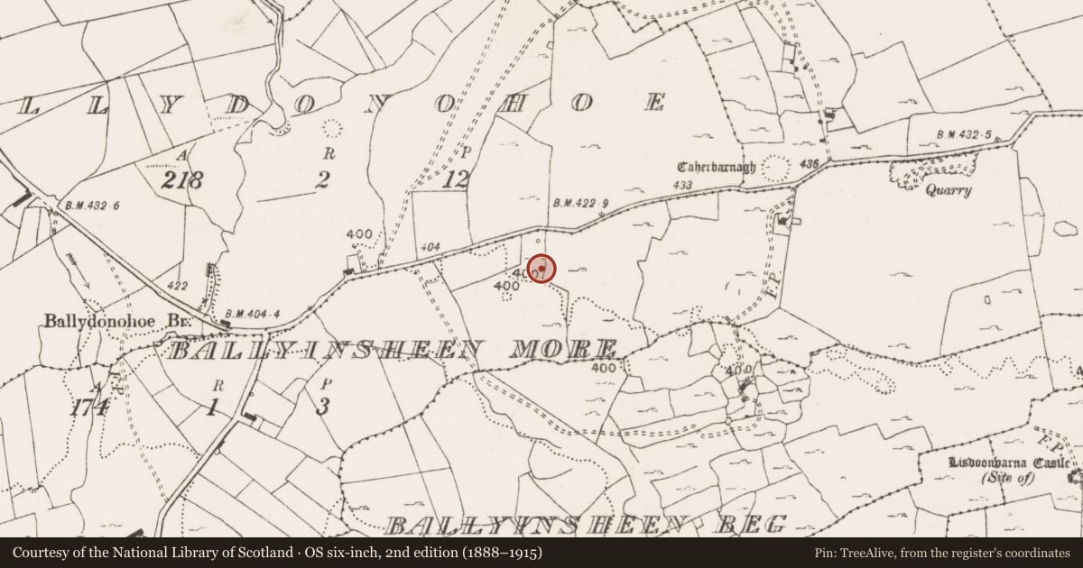 Ordnance Survey six-inch map, 2nd edition (1888–1915) covering the location of Enclosure, Ballyinsheen More, County Clare, with a pin at the register's coordinates