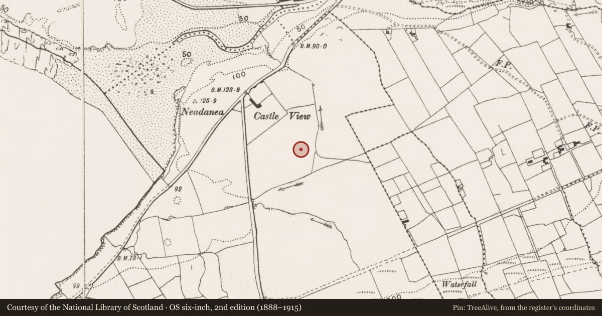Ordnance Survey six-inch map, 2nd edition (1888–1915) covering the location of Enclosure, Doonnagore, County Clare, with a pin at the register's coordinates
