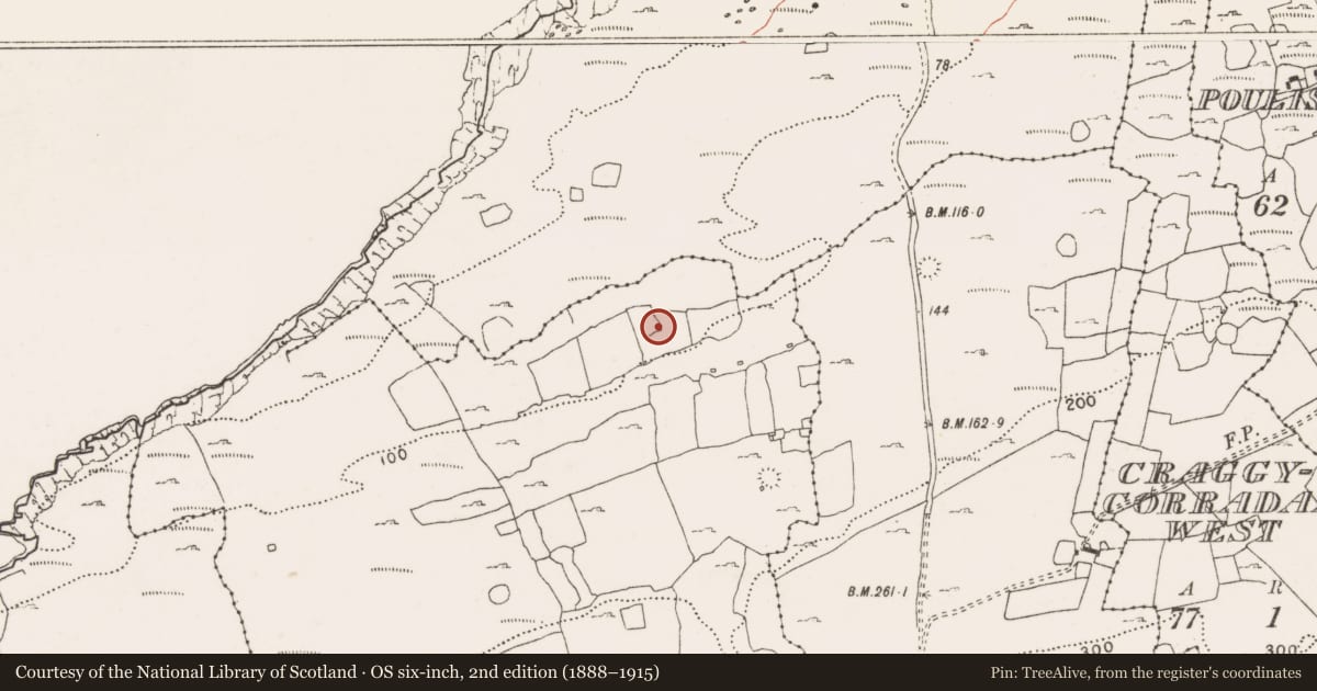 Ordnance Survey six-inch map, 2nd edition (1888–1915) covering the location of Enclosure, Cahermaclanchy, County Clare, with a pin at the register's coordinates