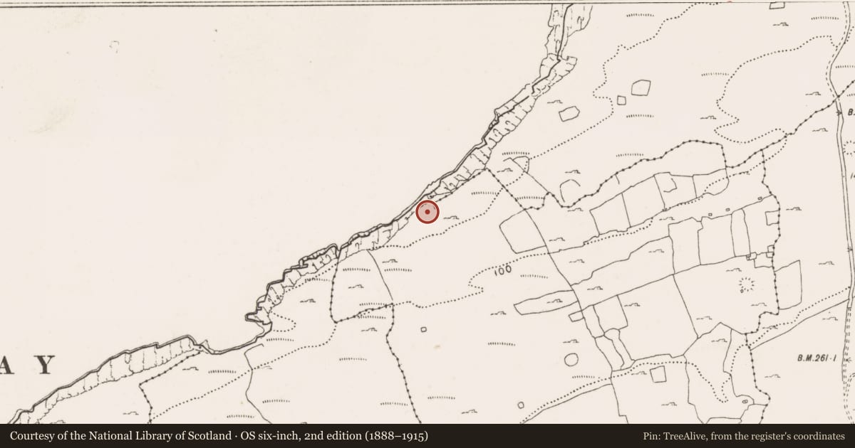 Ordnance Survey six-inch map, 2nd edition (1888–1915) covering the location of Cliff-edge fort, Ballyryan, Cahermaclanchy, County Clare, with a pin at the register's coordinates