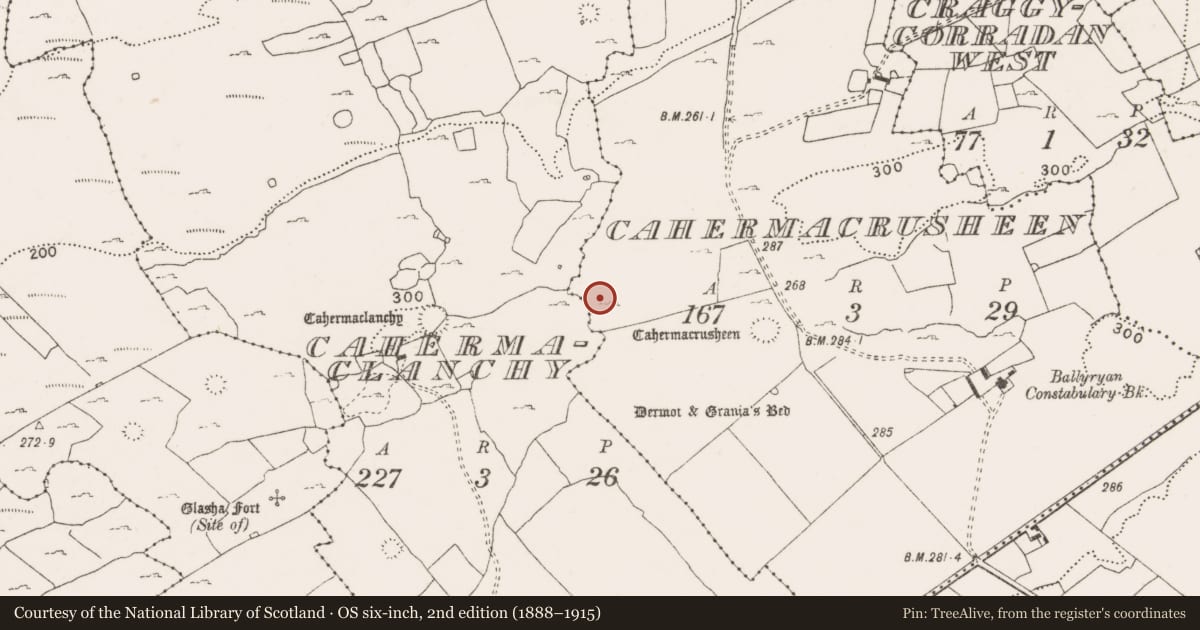 Ordnance Survey six-inch map, 2nd edition (1888–1915) covering the location of Ringfort - cashel, Cahermacrusheen, County Clare, with a pin at the register's coordinates
