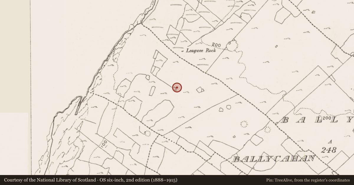 Ordnance Survey six-inch map, 2nd edition (1888–1915) covering the location of Ringfort - cashel, Ballycahan, County Clare, with a pin at the register's coordinates